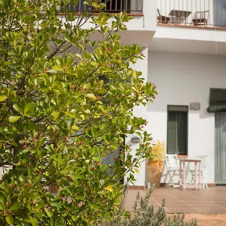 Rural Camino Beturia *