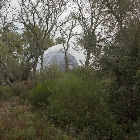 Rural Camino Beturia Country house *