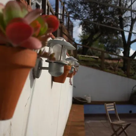 Rural Camino Beturia Country house