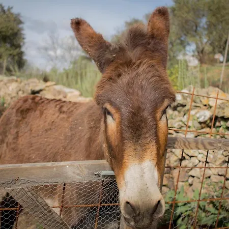 Hétvégi ház Rural Camino Beturia *
