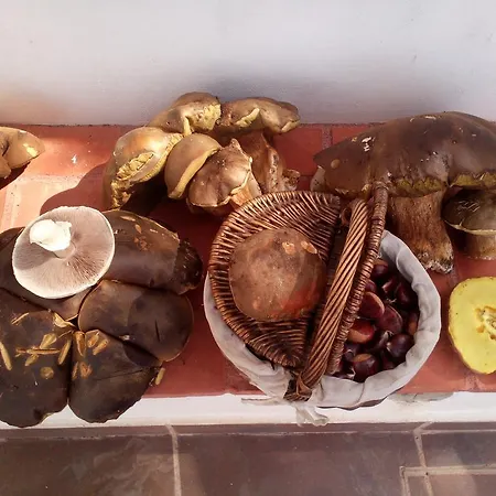 Rural Camino Beturia Cabeza la Vaca