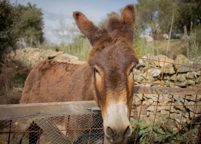 Venkovský dům Rural Camino Beturia *