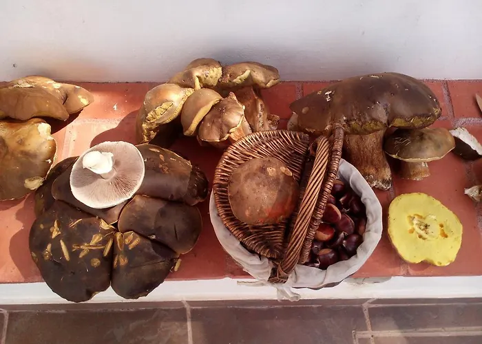 Rural Camino Beturia Cabeza la Vaca