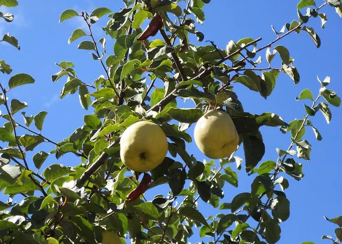 Rural Camino Beturia Venkovský dům